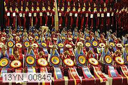 13yn_00845 thumbnail