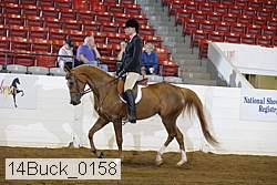 14buck_0158 thumbnail