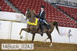 14buck_0242 thumbnail