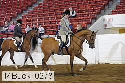 14buck_0273 thumbnail