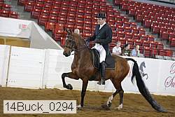 14buck_0294 thumbnail