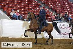 14buck_0327 thumbnail