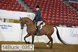 14buck_0352 thumbnail