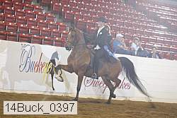 14buck_0397 thumbnail