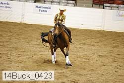14buck_0423 thumbnail
