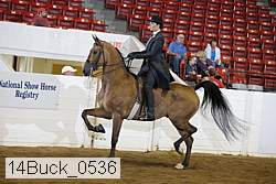14buck_0536 thumbnail