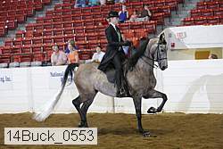 14buck_0553 thumbnail