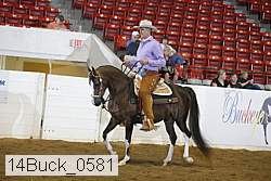 14buck_0581 thumbnail