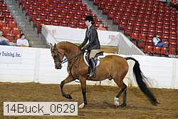 14buck_0629 thumbnail