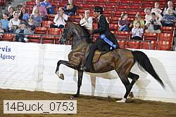 14buck_0753 thumbnail