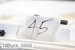 14buck_0889 thumbnail