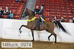 14buck_0974 thumbnail