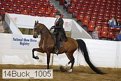 14buck_1005 thumbnail