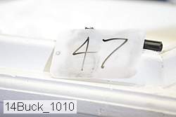 14buck_1010 thumbnail