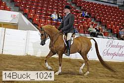 14buck_1024 thumbnail