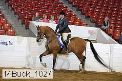 14buck_1027 thumbnail