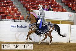 14buck_1676 thumbnail