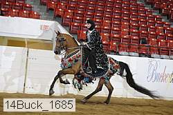 14buck_1685 thumbnail