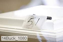 14buck_1080 thumbnail