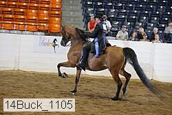 14buck_1105 thumbnail