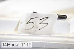 14buck_1119 thumbnail