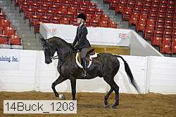 14buck_1208 thumbnail