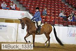 14buck_1335 thumbnail