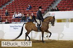 14buck_1357 thumbnail