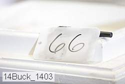 14buck_1403 thumbnail