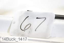 14buck_1417 thumbnail