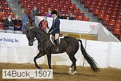 14buck_1507 thumbnail