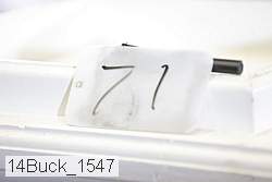 14buck_1547 thumbnail