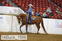 14buck_1566 thumbnail
