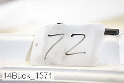 14buck_1571 thumbnail