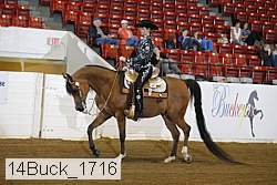 14buck_1716 thumbnail