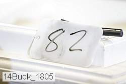 14buck_1805 thumbnail