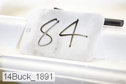 14buck_1891 thumbnail