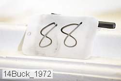 14buck_1972 thumbnail