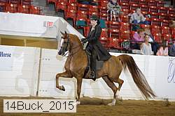 14buck_2015 thumbnail