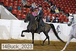 14buck_2023 thumbnail