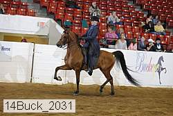 14buck_2031 thumbnail
