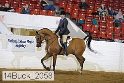 14buck_2058 thumbnail