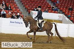 14buck_2069 thumbnail