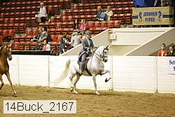 14buck_2167 thumbnail