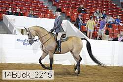 14buck_2215 thumbnail