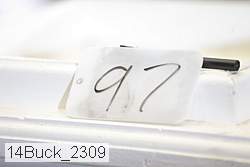 14buck_2309 thumbnail