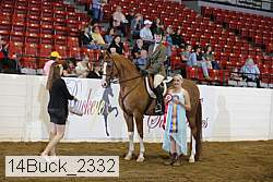 14buck_2332 thumbnail