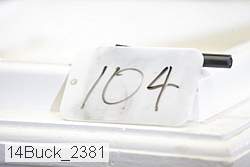 14buck_2381 thumbnail