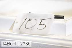 14buck_2386 thumbnail