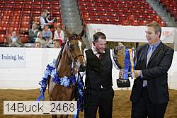 14buck_2468 thumbnail